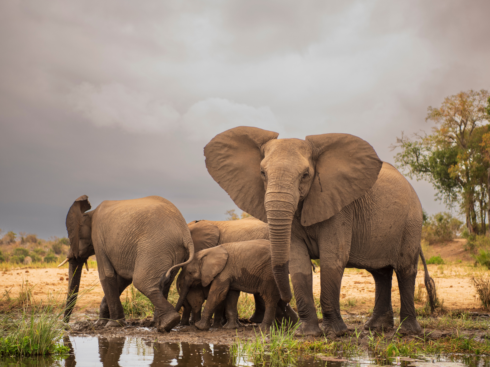 Victoria Falls Adventure Escape